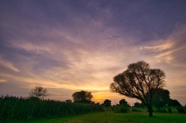 Jaipur Rajasthan 'da çarpıcı gün batımı