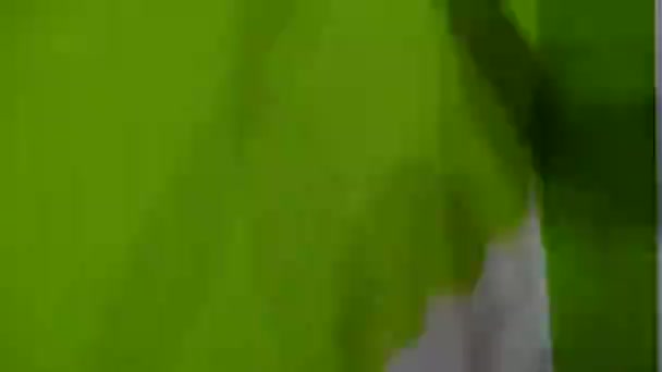 Homem Pintando Cor Verde Nas Paredes — Vídeo de Stock
