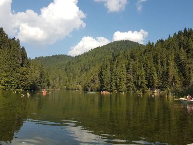 Yazın nehrin manzarası. 