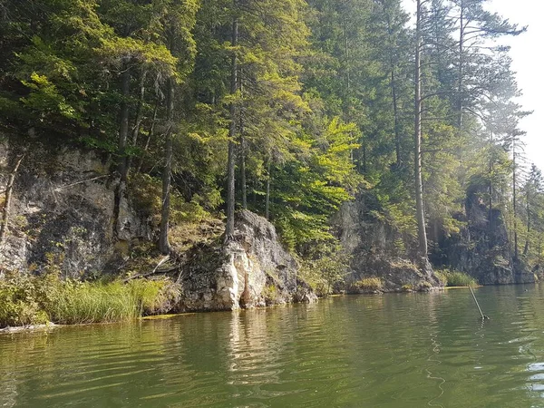 夏の間の川の景色 — ストック写真