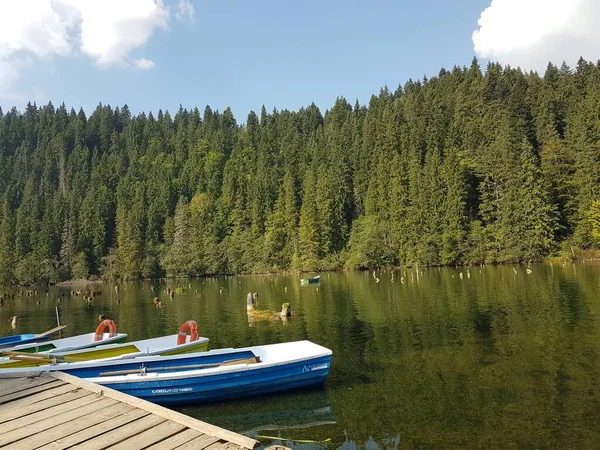 Yazın nehrin manzarası. 