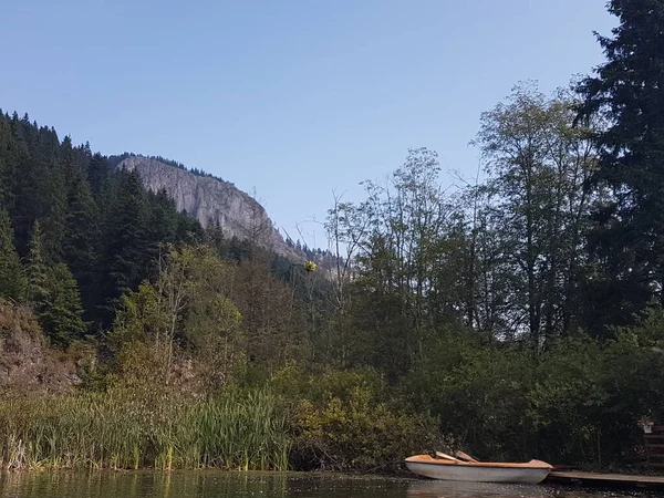 夏の山の湖 — ストック写真