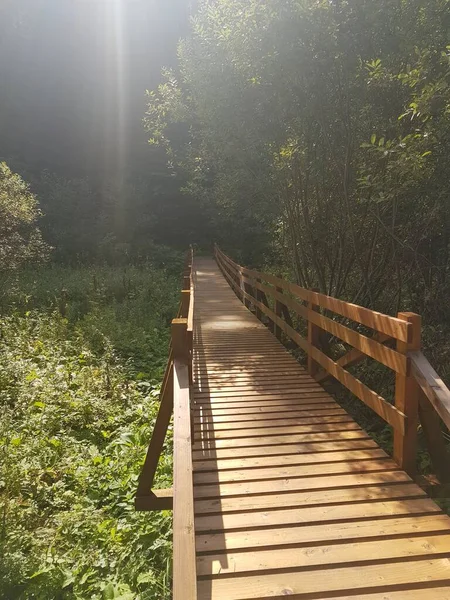 Dağlardaki ahşap köprü. Yakından bak.