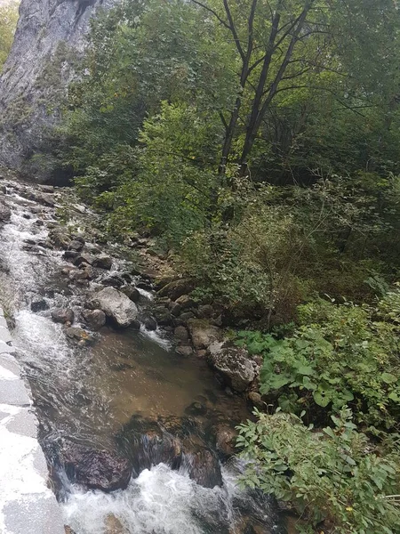 Yazın nehrin manzarası. 