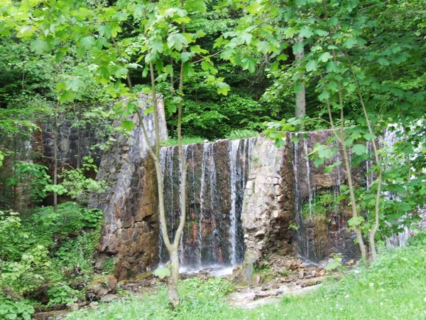 Cascade Dans Forêt Été — Photo