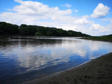 Yazın nehrin manzarası. 