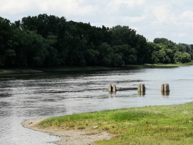 Yazın nehrin manzarası. 