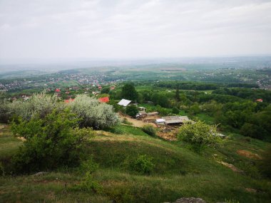 Yazın güzel yeşil çayır
