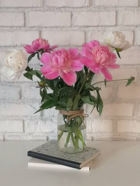 Pembe şakayıkların cam vazoda nötr bir arkaplan ile yakınlaştırılması (seçici odak).