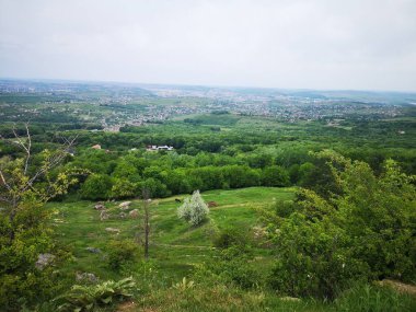 Yazın güzel yeşil çayır