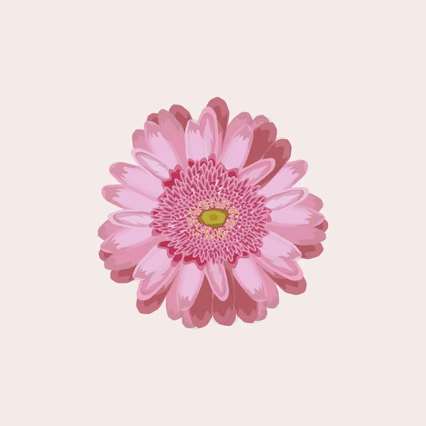 Illustration Florale Bouquet Fleurs Rose Gerbera Tournesol Design Mariage Invitations — Image vectorielle