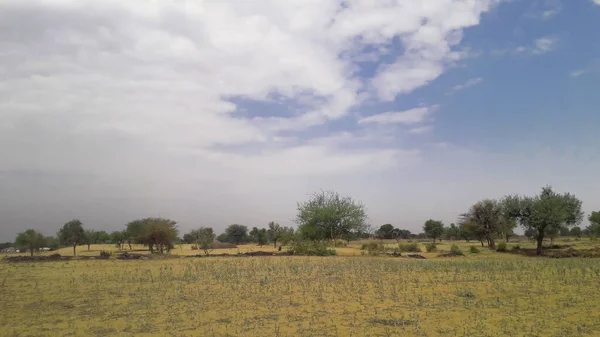 Empty Field Crop Weed Cloudy Sky India — Stock Photo, Image