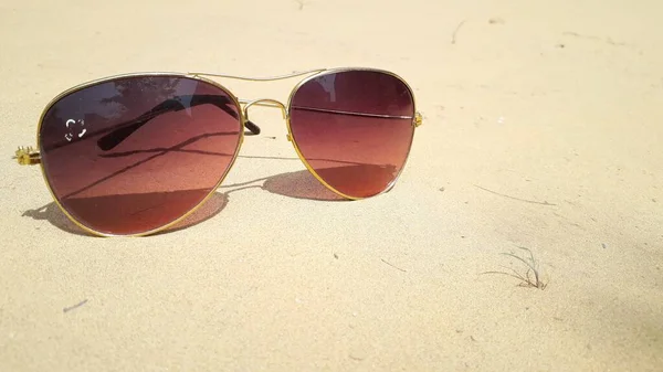 Brown shade sunglasses with golden metallic frame placed on soil in desert with copy space