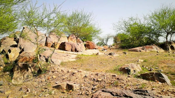 Dağda ya da tepede dikenli çalıları olan platodaki büyük kayalar