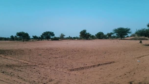 Widok Pole Pustynnych Obszarach Indii Suchą Glebą Mniej Zieleni — Wideo stockowe