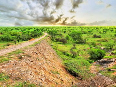 Çiğ taşlar toprak ufkuyla tepelere geliyor.