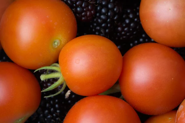 Luz Suave Resalta Forma Redonda Estas Frutas Recién Recolectadas Cultivadas — Foto de Stock