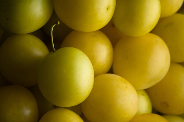 3 - Copy space in this full frame background texture of mirabelle yellow plums. Lit from the right to give great surface texture, ripe and juicy.