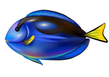 Tropik egzotik mavi balık. Vektör renkli illüstrasyon.
