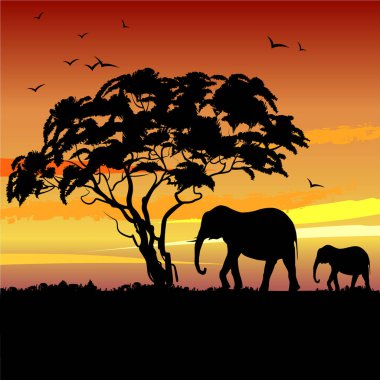 Günbatımı, ağaç ve fil silueti olan Afrika manzarası. Vektör illüstrasyonu.