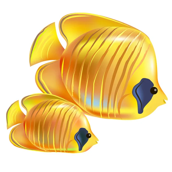 Жовтий Метелик Морська Риба Елемент Вашого Дизайну Векторні Ілюстрації — стоковий вектор