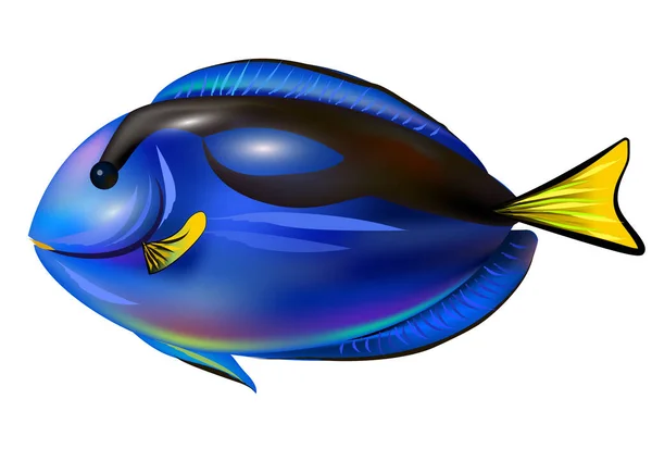Tropisch Exotischer Blauer Fisch Vektor Bunte Illustration — Stockvektor