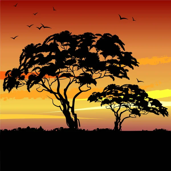 African landscape with sunset and the silhouette of trees. Vector illustration.