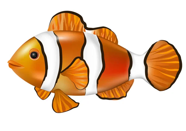 Мультяшна Анемонафія Клонова Риба Немо Векторні Ілюстрації — стоковий вектор