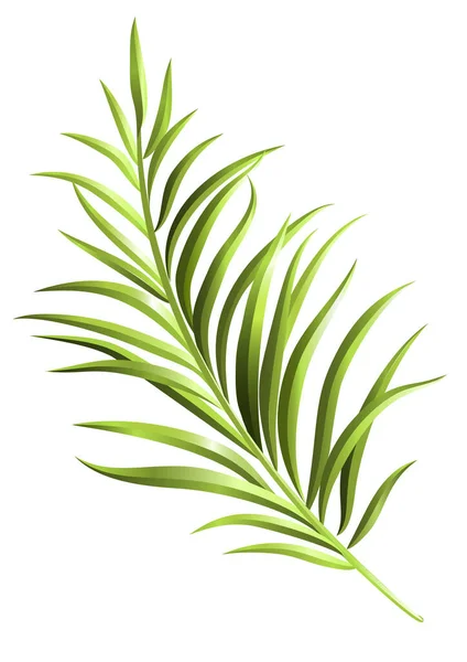 Ramo di palma verde. Elemento per il vostro design. Illustrazione vettoriale — Vettoriale Stock