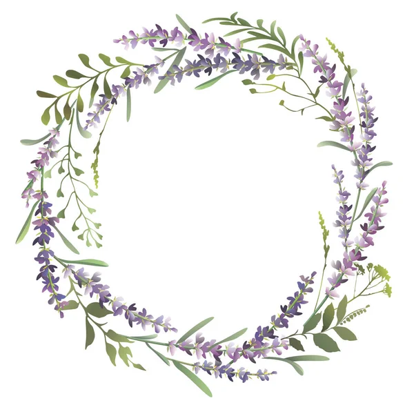 Lavendelkranz mit verschiedenen Kräutern. Vektorillustration — Stockvektor