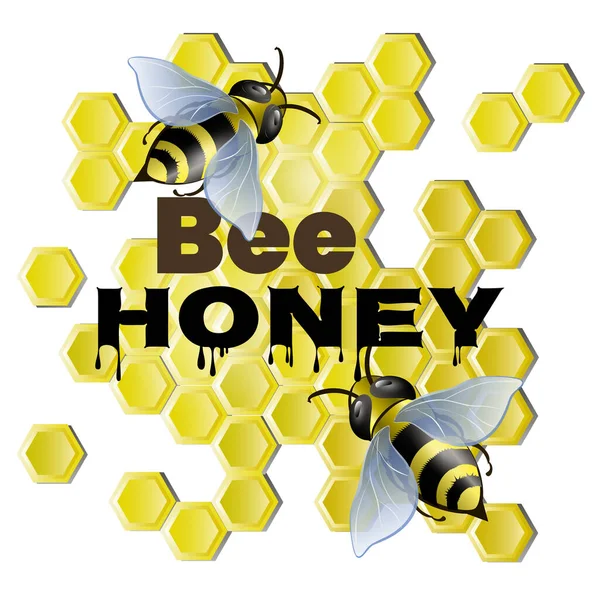 Api su favi con iscrizione miele d'api. — Vettoriale Stock
