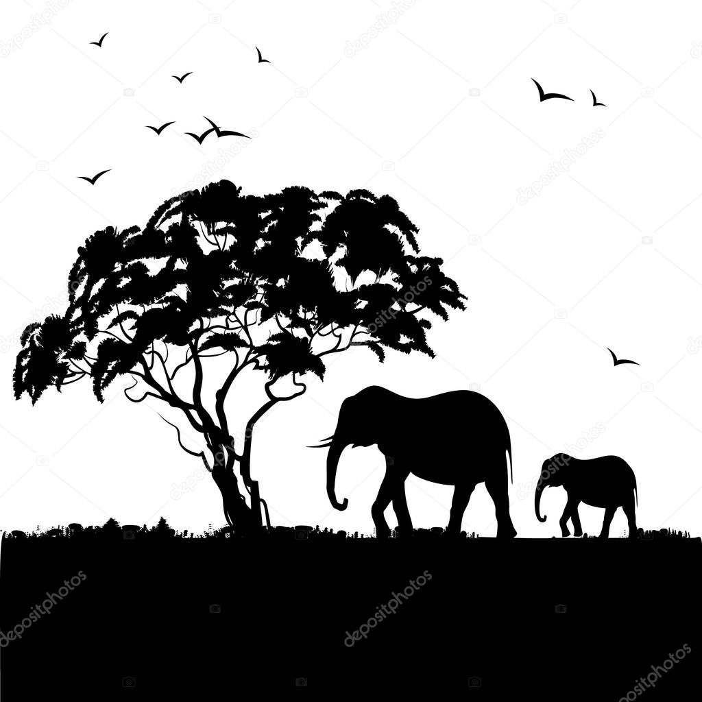 Black silhouette of african trees and elephants. Background with african landscape.