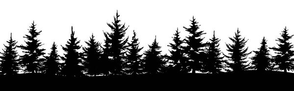 Hand drawn pine, fir or spruce forest. Christmas banner template. Vector illustration.