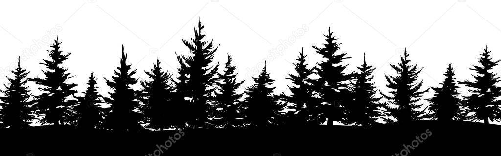Hand Drawn Pine Fir Spruce Forest Christmas Banner Template Vector Vector Graphics