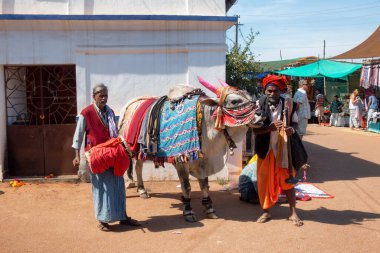 ANJUNA, GOA, İNDİYA HAYVANESİ 2, 2019: 2 kutsal Hintli adam Sadhu. Yerel bit pazarında geleneksel müzik çalıyorlar. Onlara büyük madalyalı beyaz boğa eşlik etti. Sadhu erkekleri renkli giyinir.