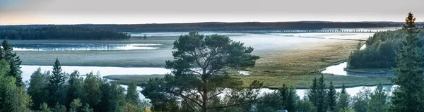 霧の梅の川のデルタ 北スウェーデン 夏の夜遅くに国立保護区のパノラマ 牧草地 川の薄い白い霧に覆われている ほぼ水平線の後ろにあります 観光客の視点 — ストック写真