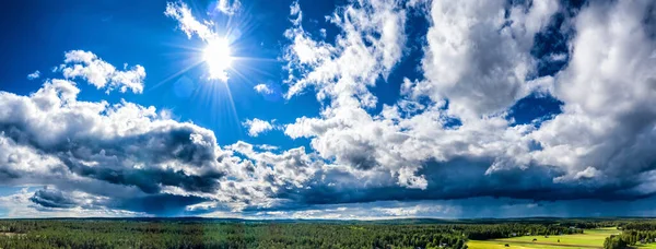 Panorama Aereo Della Pineta Scandinava Paesaggio Con Sole Splendente Raggi — Foto Stock