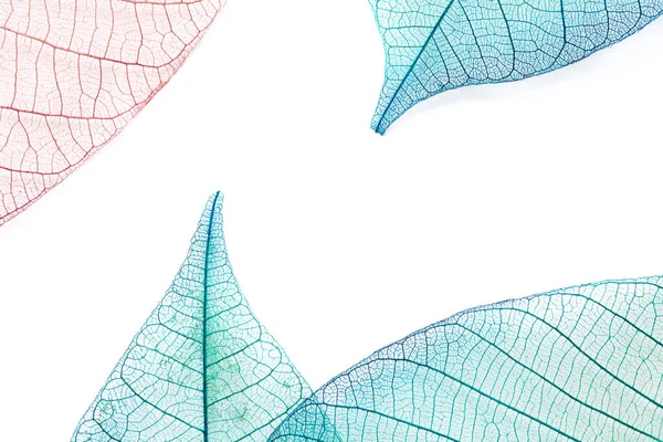 soyut mavi ve kırmızı yeşil yaprak dokusu arkaplanı