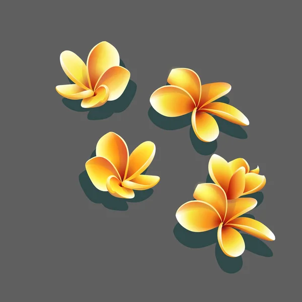 Set of bright vector the yellow flowers — Stock Vector