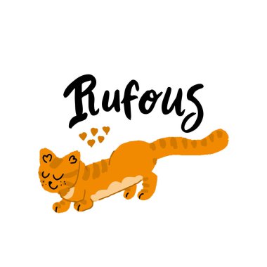 Bir çift turuncu kedi..