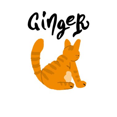 Portakal rengi kedi çizimi. Vektör el çizimi ögeler.