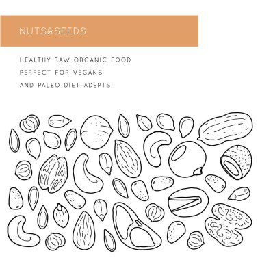 Fındık ve tohum hattı siluetleri. Metin için yeri olan vektör arkaplan deseni. Broşür, broşür reklamcılığı ve tasarım.