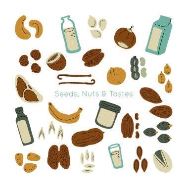 Elle çizilmiş vektör elementlerinin fındık ve tohum koleksiyonu. Çizim stiliyle yapılmış bir resim. Paket, ürün ve diğer tasarım için yiyecek nesneleri kümesi.