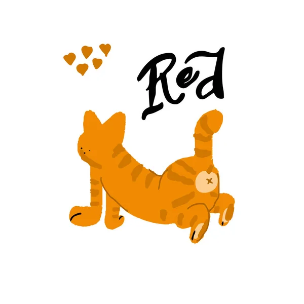 Orange Cat Illustration Vector Handdrawn Elements — Stock Vector