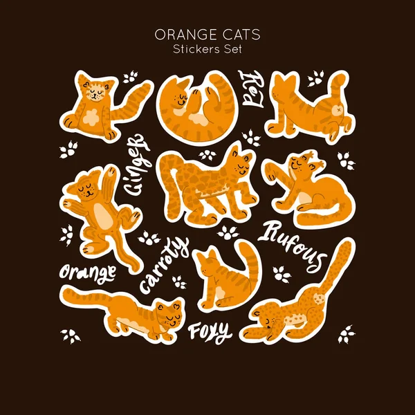 Orange Cat Illustration Stickers Set Vector Handdrawn Elements Cute Funny — Stock Vector
