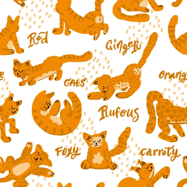 Ilustración Orange Cat Elementos Dibujados Mano Vectores — Vector de stock