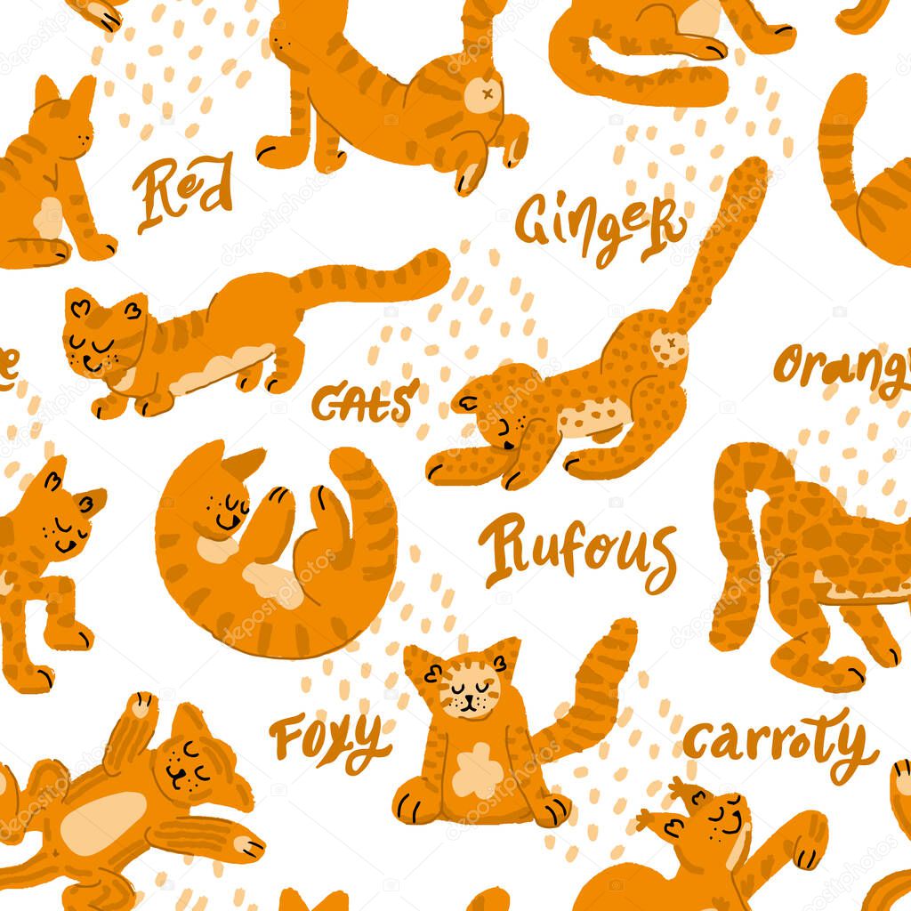 Orange Cat illustration. Vector handdrawn elements.