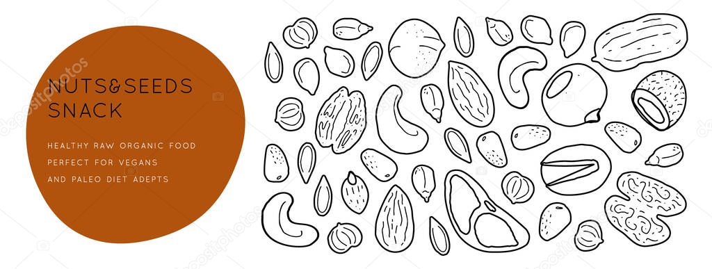 Nuts and seeds  line silhouettes. Vector background horizontal template with place for text. Flyer, booklet advertising and design.