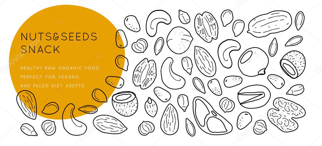Nuts and seeds  line silhouettes. Vector background horizontal template with place for text. Flyer, booklet advertising and design.