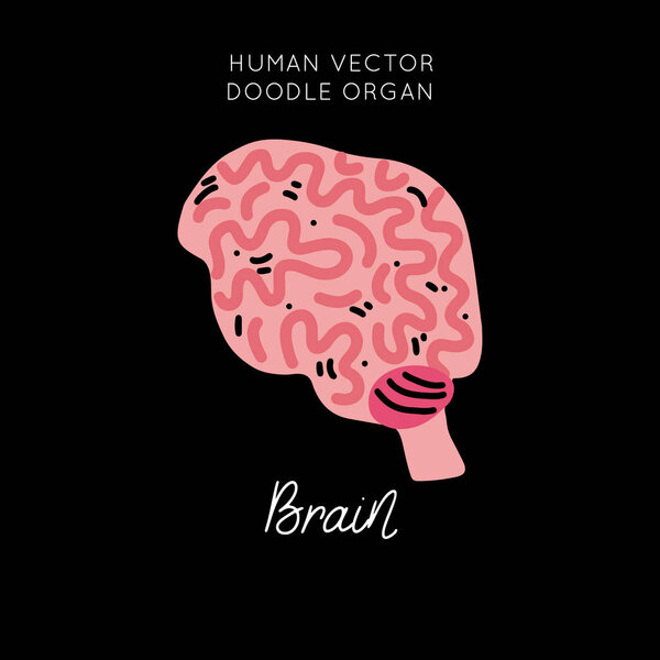 Мультипликационный вектор человеческого мозга изолированный дизайн. I illustration in funny doodle style. Рисунок клипарта для плаката, печати, баннера, брошюры
.